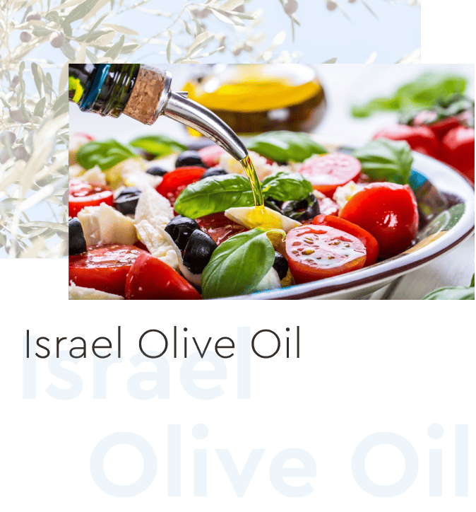 Olive Oil